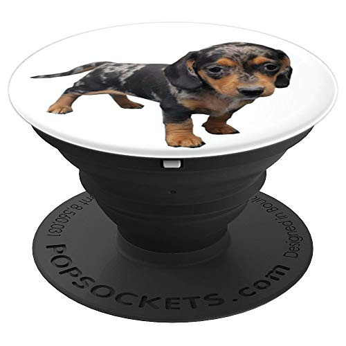 Black & Tan Dapple Mini Dachshund Puppy Dog PopSockets Grip and Stand for Phones and Tablets