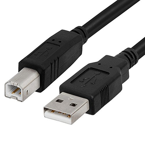 Cmple - USB Printer Cable USB 2.0 A Male To B Male USB Cord for Printers, Scanners, External Hard Drives Camera 15 Feet