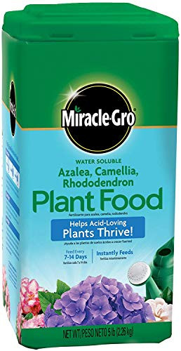 Miracle-Gro Water Soluble Azalea, Camellia, Rhododendron Plant Food, 5 lb.