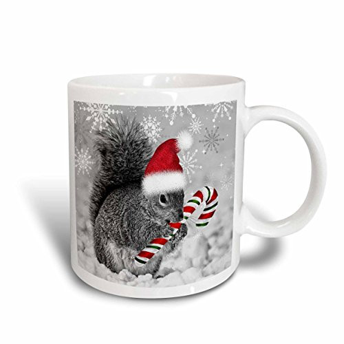 3dRose mug_150177_2 This Cute Christmas Squirrel Has a Candy Cane and a Santa Hat in The Snow Covered Winter Landscape Ceramic Mug, 15 oz, White