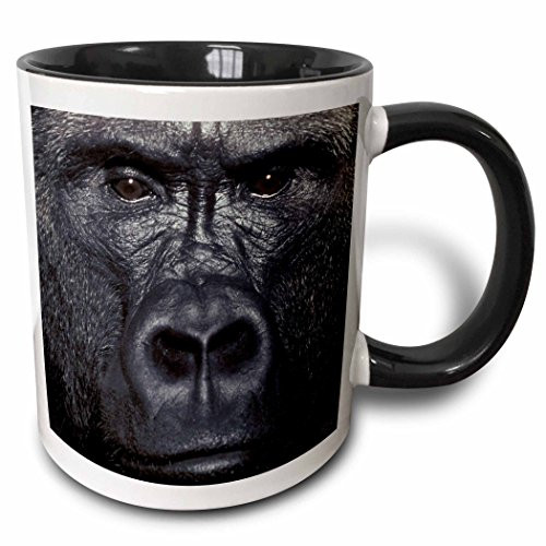 3dRose Lowland Gorilla-Two Tone Black Mug, 11 oz, Multicolored 3dRose Lowland Gorilla-Two Tone Black Mug, 11 oz, Multicolored