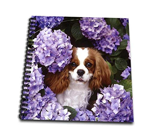 3dRose db_61913_3 Cavalier King Charles Spaniel-Mini Notepad, 4 by 4" 3dRose db_61913_3 Cavalier King Charles Spaniel-Mini Notepad, 4 by 4"