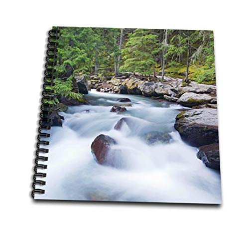 3dRose db_92084_3 Montana, Glacier National Park, Avalanche Creek-US27 JWI0155-Jamie and Judy Wild-Mini Notepad, 4 by 4" 3dRose db_92084_3 Montana, Glacier National Park, Avalanche Creek-US27 JWI0155-Jamie and Judy Wild-Mini Notepad, 4 by 4"