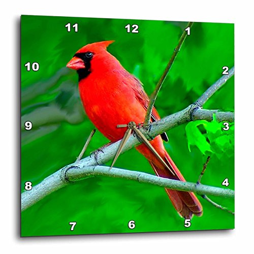 3dRose Red Cardinal - Wall Clock, 13 by 13-Inch (DPP_3121_2)