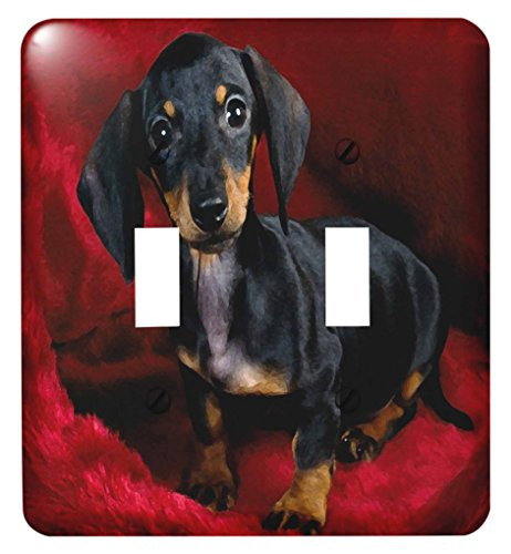 3dRose lsp_203714_2 Print of Dachshund Painting Double Toggle Switch