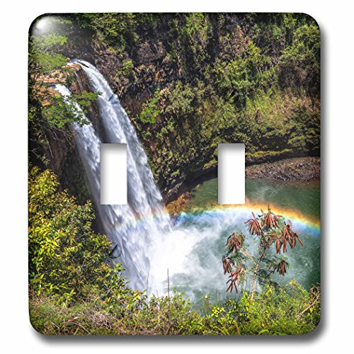 3dRose lsp_209564_2 Wailua Falls and scenery on the Hawaiian island of Kauai Double Toggle Switch
