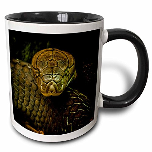 3dRose mug_55966_4"Cobra Snake Green Coiled" Two Tone Black Mug, 11 oz, Multicolor
