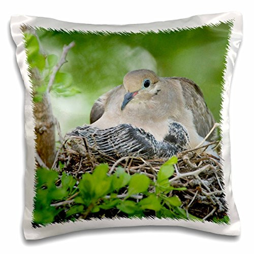 3D Rose Mourning Dove-Bird-Rio Grande Valley-Texas-Na02 Rnu0193-Rolf Nussbaumer Design Pillowcase, 16" x 16" 3D Rose Mourning Dove-Bird-Rio Grande Valley-Texas-Na02 Rnu0193-Rolf Nussbaumer Design Pillowcase, 16" x 16"