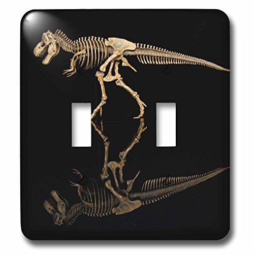 3dRose lsp_251421_2 Tennessee. T-rex dinosaur skeleton replica, reflection. - Double Toggle Switch