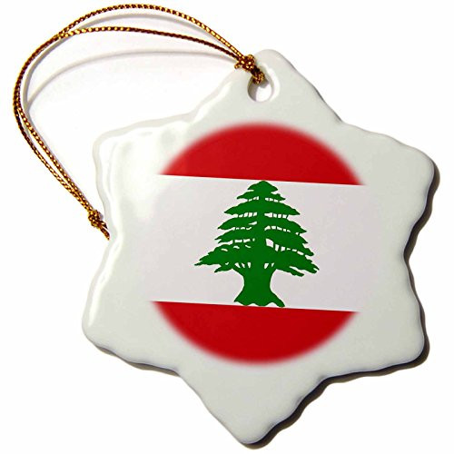3dRose LLC orn_28266_1 Lebanon Flag Snowflake Porcelain Hanging Ornament, 3-Inch 3dRose LLC orn_28266_1 Lebanon Flag Snowflake Porcelain Hanging Ornament, 3-Inch