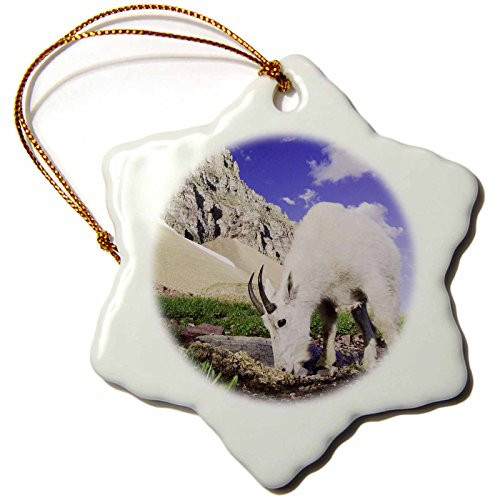 3dRose orn_84553_1 Mountain Goat wildlife, Glacier NP, Montana NA02 RNU0685 Rolf Nussbaumer Snowflake Porcelain Ornament, 3-Inch