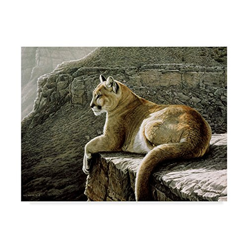 Rimrock Cougar by Ron Parker, 18x24-Inch