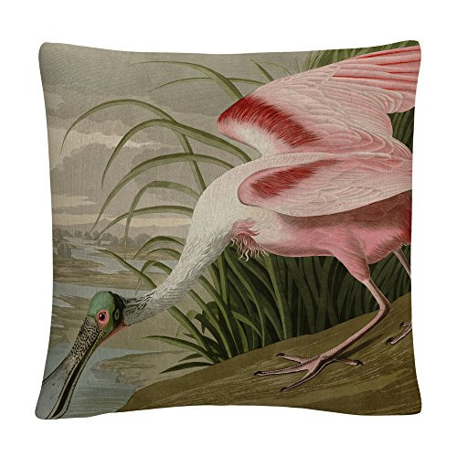 Trademark Fine Art BL01297-PIL1616 John James Audubon 'Roseate Spoonbill' 16" X 16" Decorative Throw Pillow, Multicolor