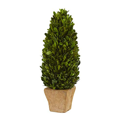 Nearly Natural 16in. Boxwood Cone Preserved Planter Silk Plants, Green