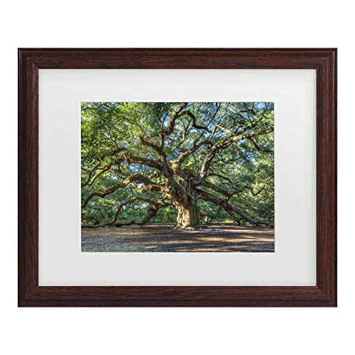 Trademark Fine Art Angel Oak Charleston by Pierre Leclerc, White Matte, Wood Frame 16x20-Inch, 16x20 Trademark Fine Art Angel Oak Charleston by Pierre Leclerc, White Matte, Wood Frame 16x20-Inch, 16x20