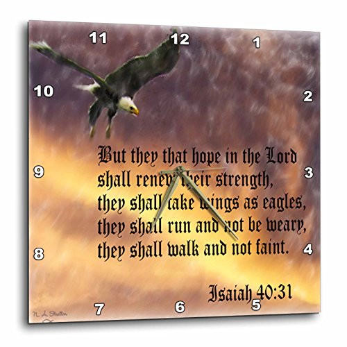 3dRose LLC Isaiah 40-31 Bible Verse with Eagle Against A Troubled Sky 10 by 10-Inch Wall Clock 3dRose LLC Isaiah 40-31 Bible Verse with Eagle Against A Troubled Sky 10 by 10-Inch Wall Clock