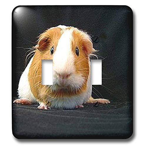 3dRose lsp_1062_2"Guinea Pig Double Toggle Switch