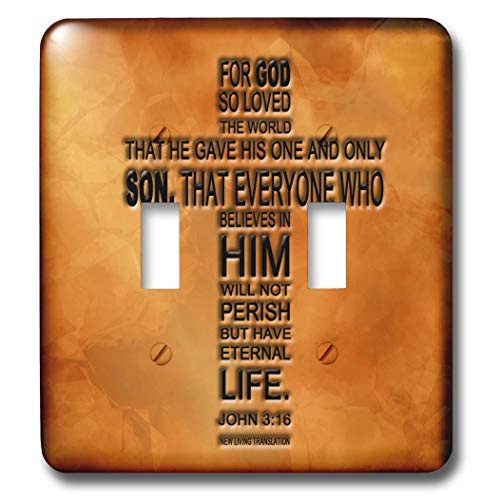3dRose lsp_29092_2 John 3 16 Bible Verse Embossed On A Copper Background Double Toggle Switch