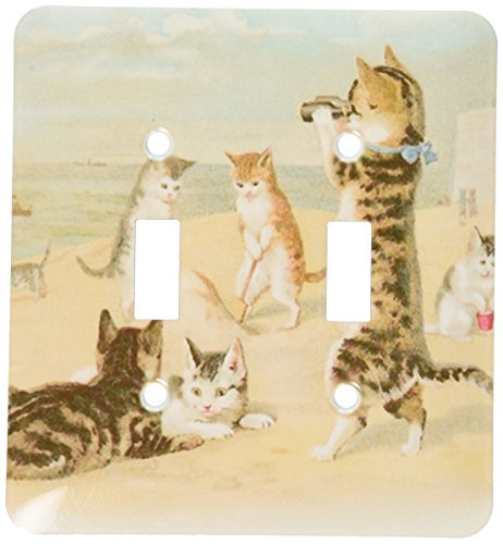 3dRose lsp_48557_2"Cats at the Beach-Double Toggle Switch