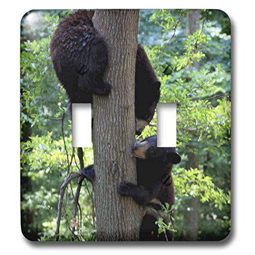 3dRose lsp_57063_2 Two Bears In Tree Playing Double Toggle Switch