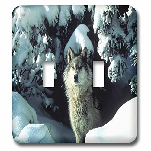 3dRose lsp_62582_2 A Gray Wolf In The Snow Double Toggle Switch