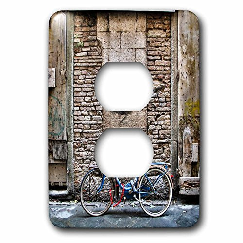 3dRose lsp_277602_6 Light Switch Cover, Varies