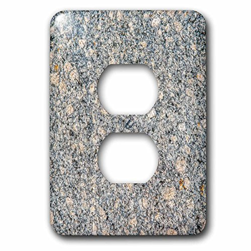 3dRose lsp_285828_6 Light Switch Cover, Varies