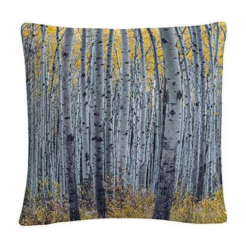 Trademark Fine Art Forest of Aspen Trees by Pierre Leclerc, 16x16 Decorative Throw Pillow, Multi-Color Trademark Fine Art Forest of Aspen Trees by Pierre Leclerc, 16x16 Decorative Throw Pillow, Multi-Color