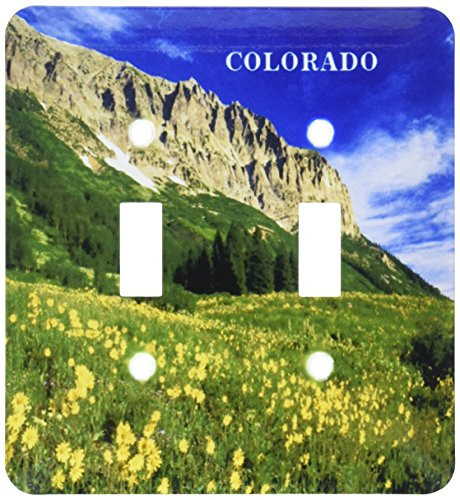 3dRose lsp_61893_2 Alpine Meadow In Colorado Double Toggle Switch