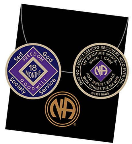 18 Month Blue and Purple NA Medallion Official Narcotics Anonymous Chip