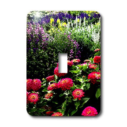 3dRose lsp_717_1 Pink Zinnias Single Toggle Switch
