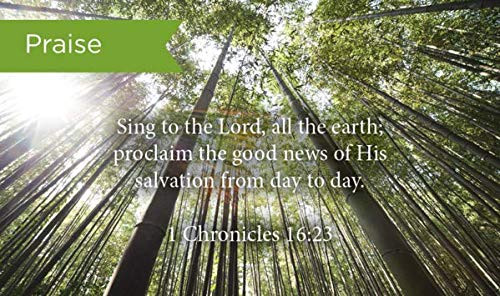 Pass Along Pocket Scripture Cards, Praise, 1 Chronicles 16:23, Pack of 25