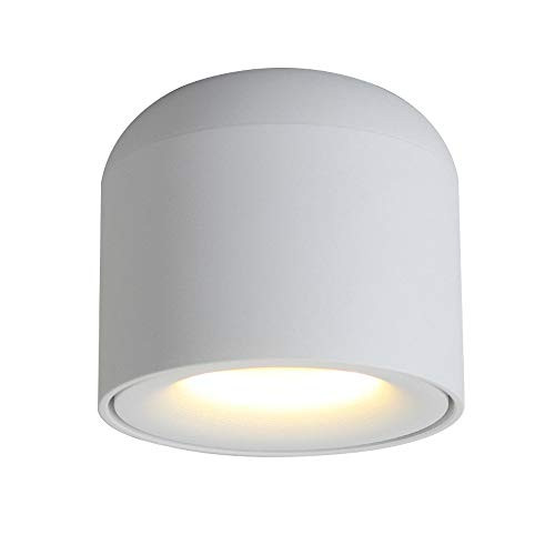 Aisilan LED Cob Ceiling Spots Accent Light Surface Mounted Downlight 7W 3000K Warm White Aluminum Anti Glare Spotlight for Hallway Corridor Gallery Di