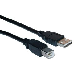 QualConnectTM USB 2.0 Printer/Device Cable, Black, Type A Male to Type B Male, 1 ft
