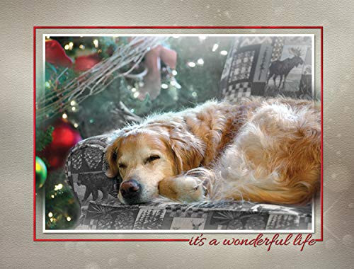 "Dog Dreams" Golden Retriever - Boxed Christmas Cards - 5 5/8 x 7 3/8 Inches - 15 Heavyweight Cards and 16 Envelopes