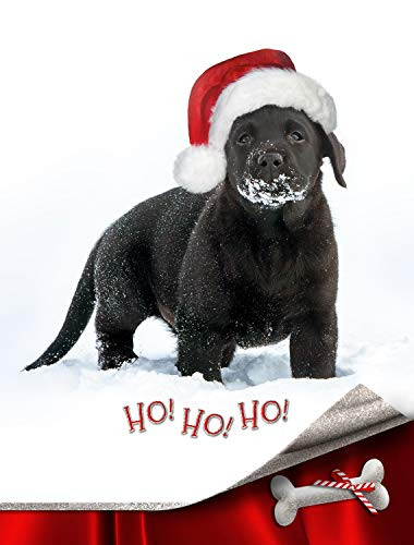 "Christmas Magic" Labrador Puppy - Boxed Christmas Cards - 5 5/8 x 7 3/8 Inches - 15 Heavyweight Cards and 16 Envelopes