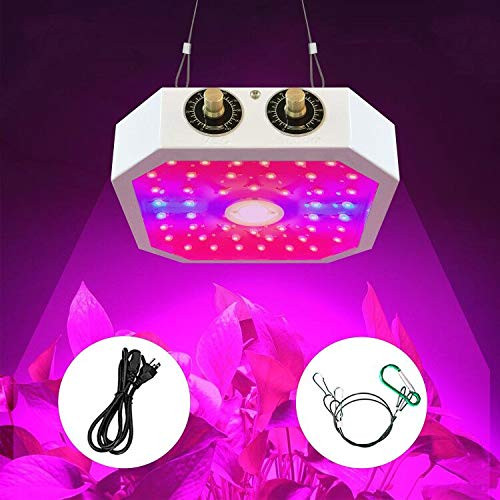 1100W LED Grow Light LED Full Spectrum Growing Light Lamps Plant Light for Indoor Plants Seedings Veg and Flower LED Plant Lighting 1100W LED Grow Light LED Full Spectrum Growing Light Lamps Plant Light for Indoor Plants Seedings Veg and Flower LED Plant Lighting