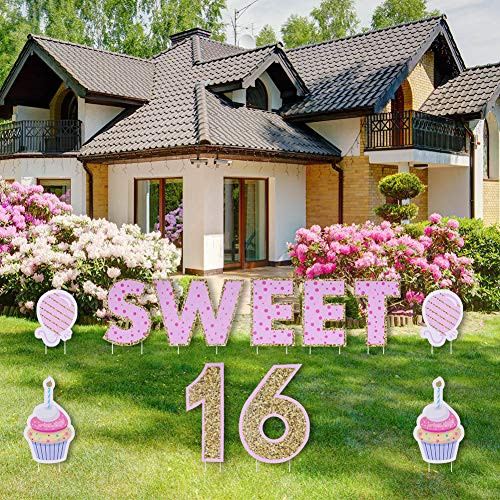 Opopark 11PCS Sweet 16 Birthday Yard Signs with Stakes Yard Sign and Outdoor Lawn Decorations - Happy Birthday Party Yard Signs