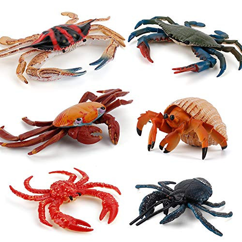Fantarea Realistic 6 PCS Ocean Sea Marine Animal Model Figures Crab Pagurian Family Party Favors Supplies Cake Toppers Set Toys for 5 6 7 8 Years Old Fantarea Realistic 6 PCS Ocean Sea Marine Animal Model Figures Crab Pagurian Family Party Favors Supplies Cake Toppers Set Toys for 5 6 7 8 Years Old