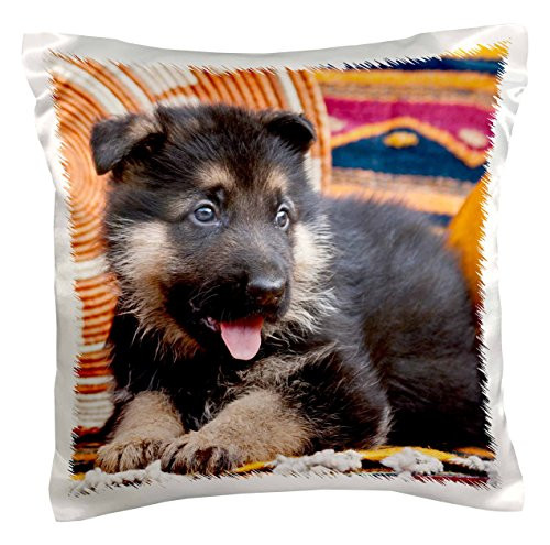 3dRose German Shepherd puppy dog on blankets - NA02 ZMU0125 - Zandria Muench Beraldo - Pillow Case, 16 by 16-inch (pc_140405_1) 3dRose German Shepherd puppy dog on blankets - NA02 ZMU0125 - Zandria Muench Beraldo - Pillow Case, 16 by 16-inch (pc_140405_1)