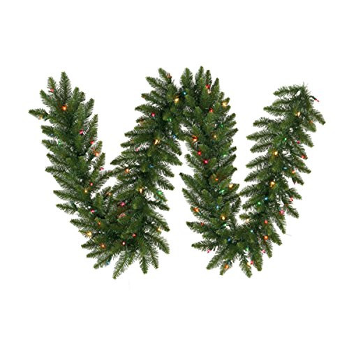 Vickerman Pre-Lit Camdon Fir Garland with 50 Multicolored Frosted Italian LED Lights, 9-Feet, Green