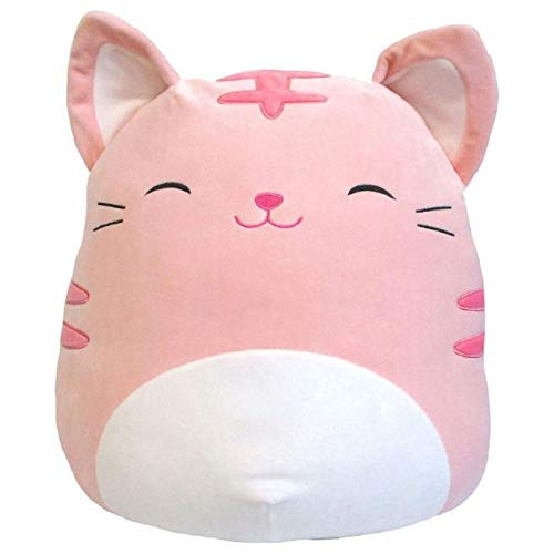 squishmallows 16 cat