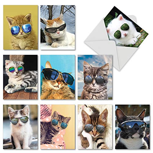 The Best Card Company - 10 All Occasion Blank Cat Cards (4 x 5.12 Inch) - Cute Assorted Bulk Card Set - Kool Kitties AM6891OCB-B1x10 The Best Card Company - 10 All Occasion Blank Cat Cards (4 x 5.12 Inch) - Cute Assorted Bulk Card Set - Kool Kitties AM6891OCB-B1x10