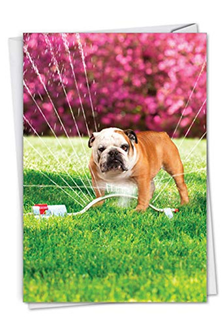 NobleWorks, Dog In Sprinkler - Funny Bulldog Birthday Card with Envelope - Cute Pet Animal, Notecard for Kids, Parents C3209BDG NobleWorks, Dog In Sprinkler - Funny Bulldog Birthday Card with Envelope - Cute Pet Animal, Notecard for Kids, Parents C3209BDG