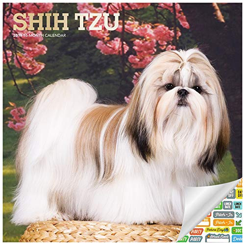 Shih Tzu Calendar 2019 Set - Deluxe 2019 Shih Tzu Wall Calendar with Over 100 Calendar Stickers (Shih Tzu Gifts, Office Supplies)