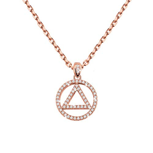 TIIMG Sobriety Gift Addiction Recovery Gift AA Gift NA Gift 12 Step Gifts Alcoholics Anonymous AA Recovery Sobriety Wallet Insert Card (AA Necklace RG