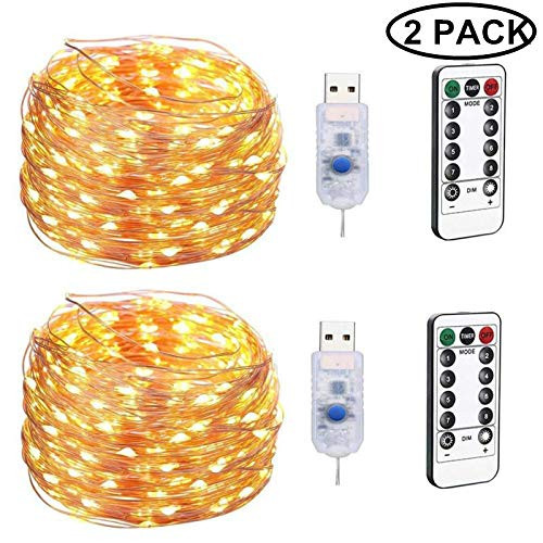 2 Pack LED String Lights USB Plug-in Fairy Lights with Remote, 100 LED Copper Wire Lights, 8 Modes Dimmable Firefly Twinkle Lights Bedroom Party Decor
