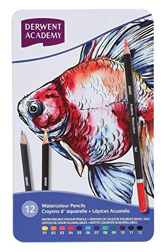 Derwent Academy Watercolor Pencils, 3.3mm Core, Metal Tin, 12 Count (2301941)