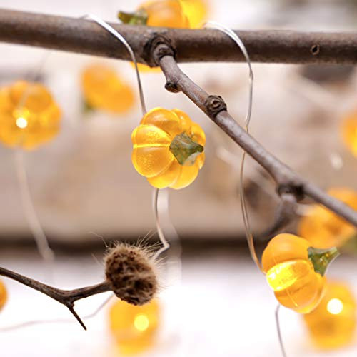Thanksgiving 3D Pumpkin String Lights 10ft 30LEDs Remote & Timer for Halloween Christmas Birthday Gift Autumn Fall Pumpkin Indoor Bedroom Parties Home