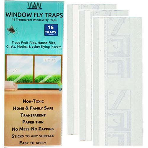 Flies & Bug Window Fly Trap - Indoor/Outdoor Non Toxic Clear Window Fly Traps - 16 Pack